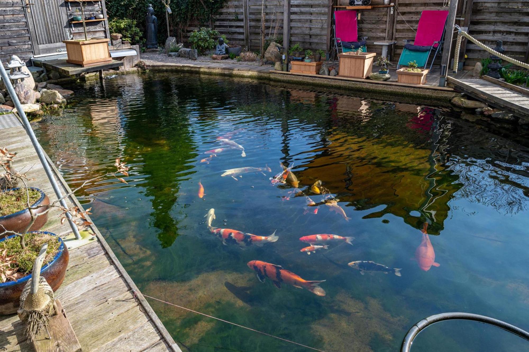 Am Teich Apartment Butzow Bagian luar foto